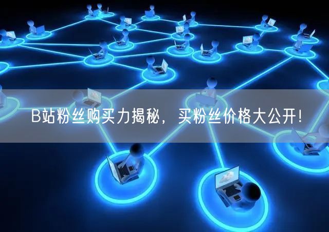 B站粉丝购买力揭秘，买粉丝价格大公开！