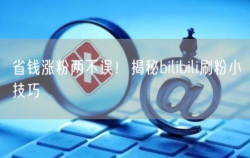 省钱涨粉两不误！揭秘bilibili刷粉小技巧