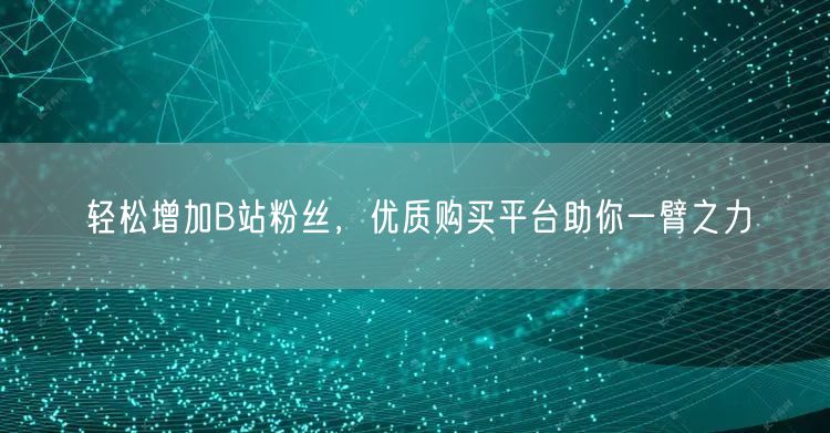 轻松增加B站粉丝，优质购买平台助你一臂之力