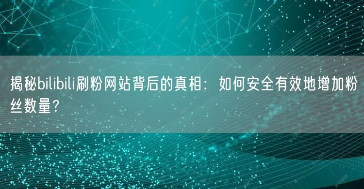揭秘bilibili刷粉网站背后的真相：如何安全有效地增加粉丝数量？