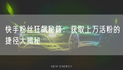 快手粉丝狂飙秘籍：获取上万活粉的捷径大揭秘