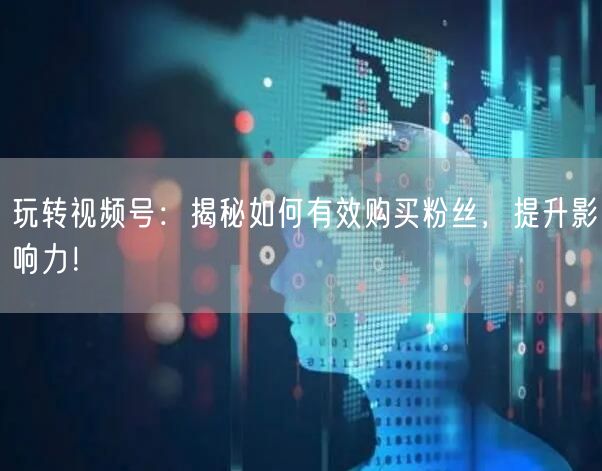 玩转视频号：揭秘如何有效购买粉丝，提升影响力！
