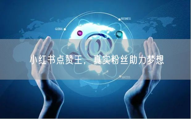 小红书点赞王，真实粉丝助力梦想