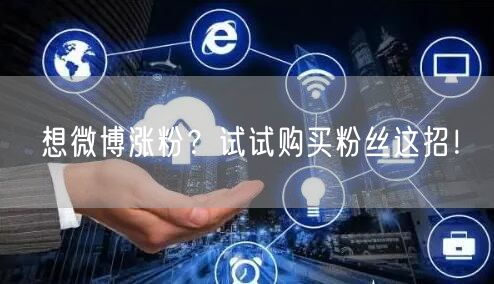 想微博涨粉？试试购买粉丝这招！