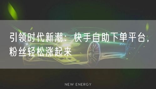 引领时代新潮：快手自助下单平台，粉丝轻松涨起来