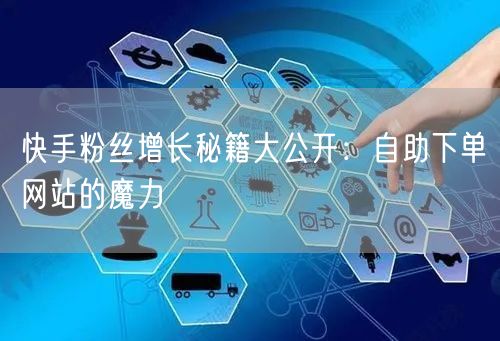 快手粉丝增长秘籍大公开：自助下单网站的魔力