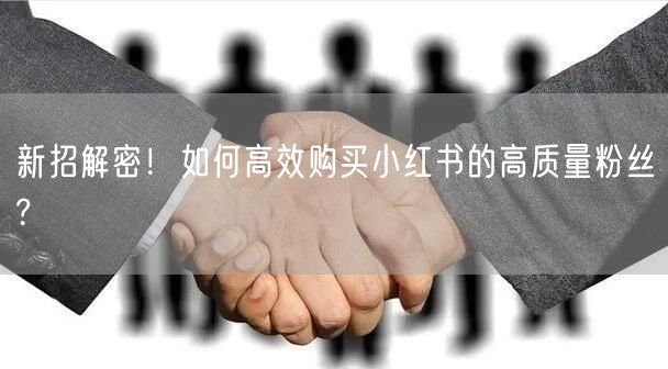 新招解密！如何高效购买小红书的高质量粉丝?