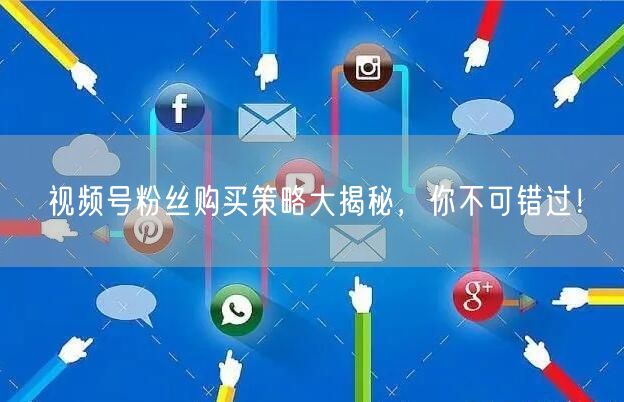 视频号粉丝购买策略大揭秘，你不可错过！