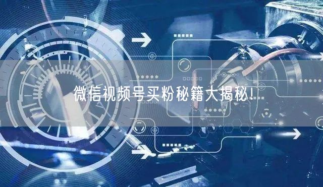 微信视频号买粉秘籍大揭秘！