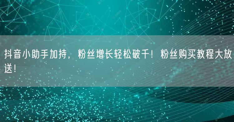 抖音小助手加持，粉丝增长轻松破千！粉丝购买教程大放送！