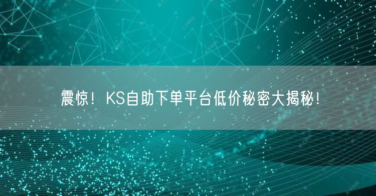 震惊！KS自助下单平台低价秘密大揭秘！