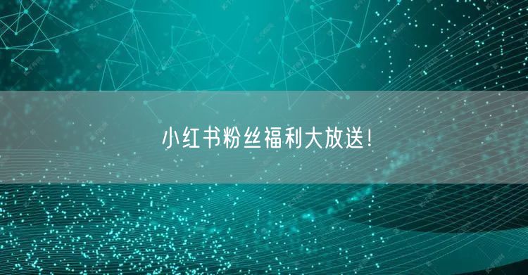 小红书粉丝福利大放送！