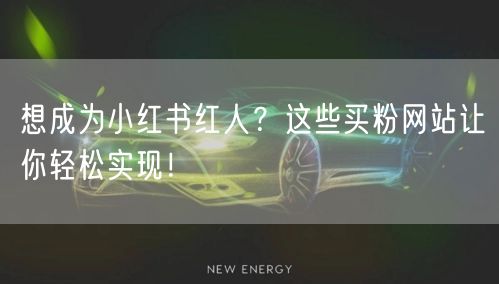 想成为小红书红人？这些买粉网站让你轻松实现！