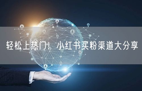 轻松上热门！小红书买粉渠道大分享
