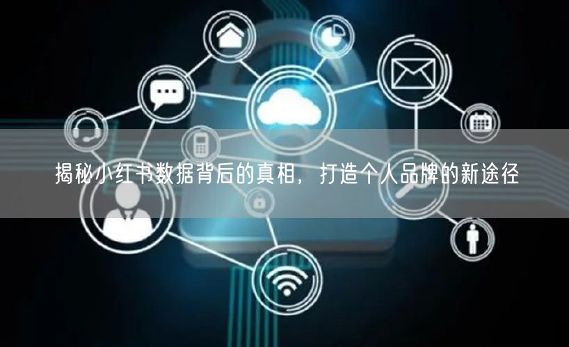 揭秘小红书数据背后的真相，打造个人品牌的新途径