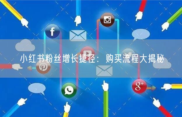 小红书粉丝增长捷径：购买流程大揭秘