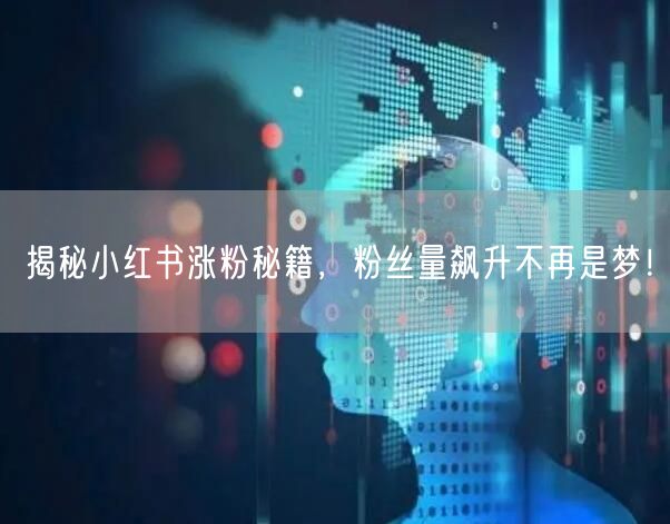 揭秘小红书涨粉秘籍，粉丝量飙升不再是梦！