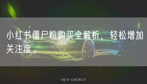 小红书僵尸粉购买全解析，轻松增加关注度。