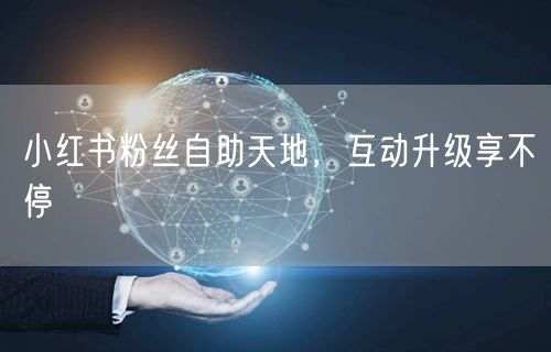 小红书粉丝自助天地,互动升级享不停