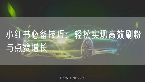 小红书必备技巧：轻松实现高效刷粉与点赞增长