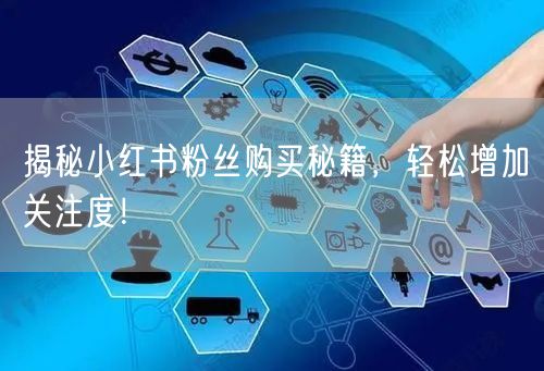 揭秘小红书粉丝购买秘籍，轻松增加关注度！