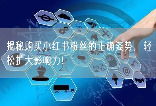 揭秘购买小红书粉丝的正确姿势，轻松扩大影响力！