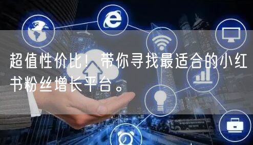 超值性价比！带你寻找最适合的小红书粉丝增长平台。