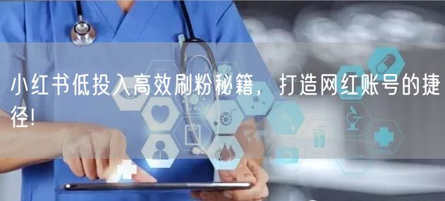 小红书低投入高效刷粉秘籍，打造网红账号的捷径!