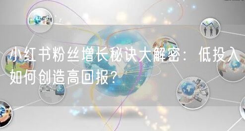 小红书粉丝增长秘诀大解密：低投入如何创造高回报？