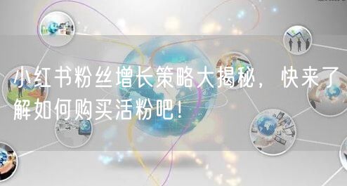 小红书粉丝增长策略大揭秘，快来了解如何购买活粉吧！