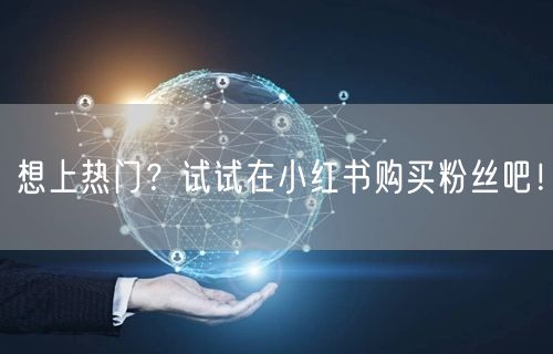 想上热门？试试在小红书购买粉丝吧！