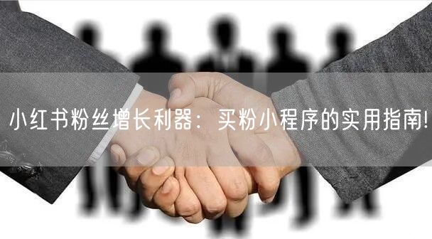 小红书粉丝增长利器：买粉小程序的实用指南!