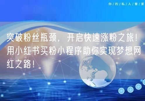 突破粉丝瓶颈，开启快速涨粉之旅！用小红书买粉小程序助你实现梦想网红之路！