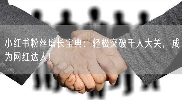 小红书粉丝增长宝典：轻松突破千人大关，成为网红达人！