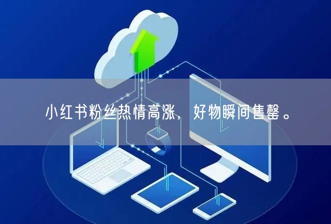 小红书粉丝热情高涨，好物瞬间售罄。