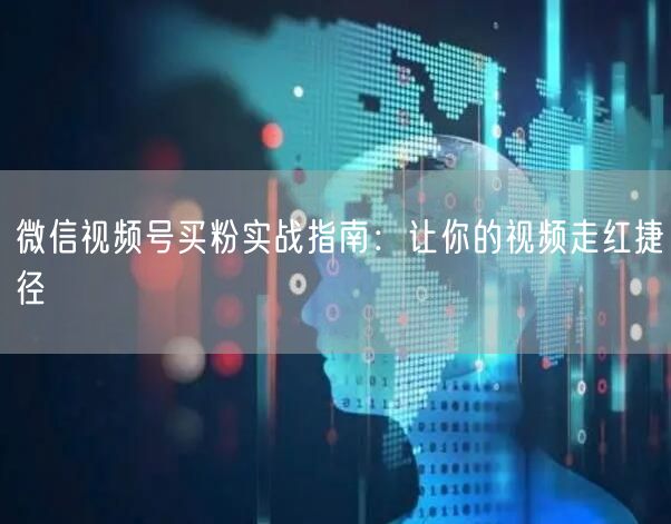 微信视频号买粉实战指南：让你的视频走红捷径