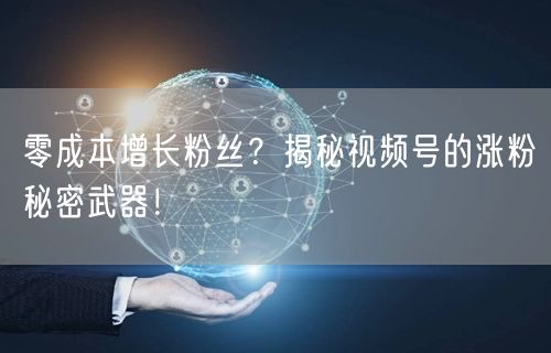 零成本增长粉丝？揭秘视频号的涨粉秘密武器！