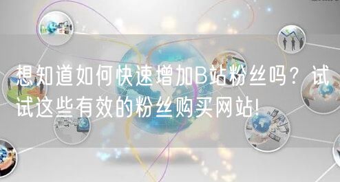 想知道如何快速增加B站粉丝吗？试试这些有效的粉丝购买网站!