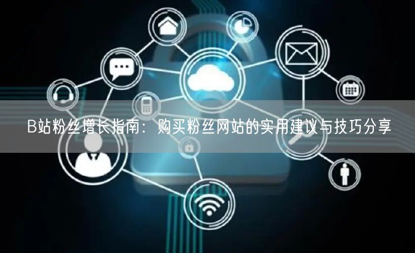 B站粉丝增长指南：购买粉丝网站的实用建议与技巧分享