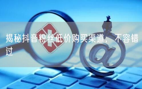 揭秘抖音粉丝低价购买渠道，不容错过