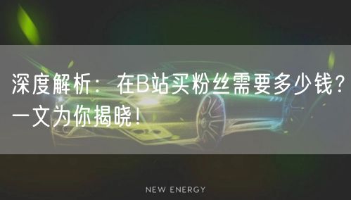 深度解析：在B站买粉丝需要多少钱？一文为你揭晓！