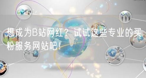 想成为B站网红？试试这些专业的买粉服务网站吧！