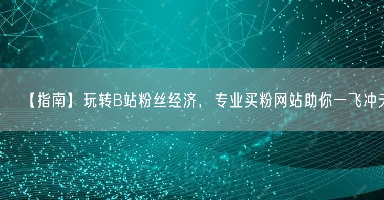 【指南】玩转B站粉丝经济，专业买粉网站助你一飞冲天！