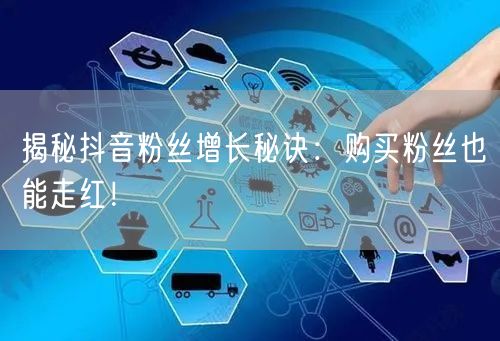 揭秘抖音粉丝增长秘诀：购买粉丝也能走红！