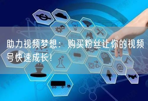 助力视频梦想：购买粉丝让你的视频号快速成长！