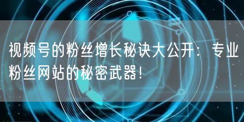 视频号的粉丝增长秘诀大公开：专业粉丝网站的秘密武器！