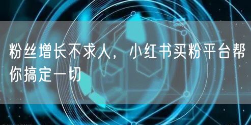 粉丝增长不求人，小红书买粉平台帮你搞定一切