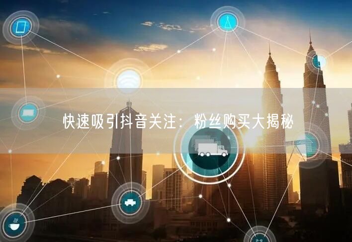 快速吸引抖音关注：粉丝购买大揭秘