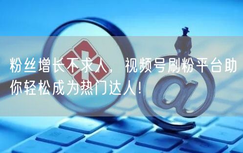 粉丝增长不求人，视频号刷粉平台助你轻松成为热门达人！