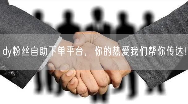 dy粉丝自助下单平台，你的热爱我们帮你传达！